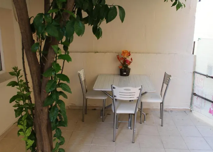 Carvan * איסטמבול