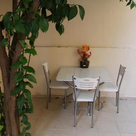 Carvan * イスタンブール